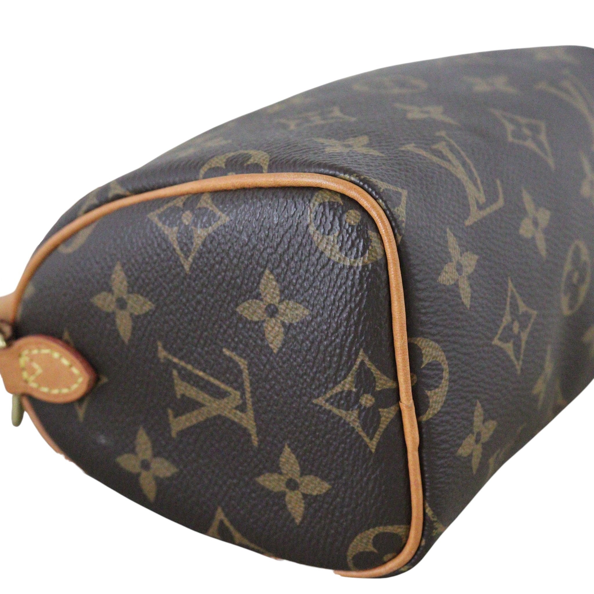 Louis Vuitton Nano Speedy Monogram