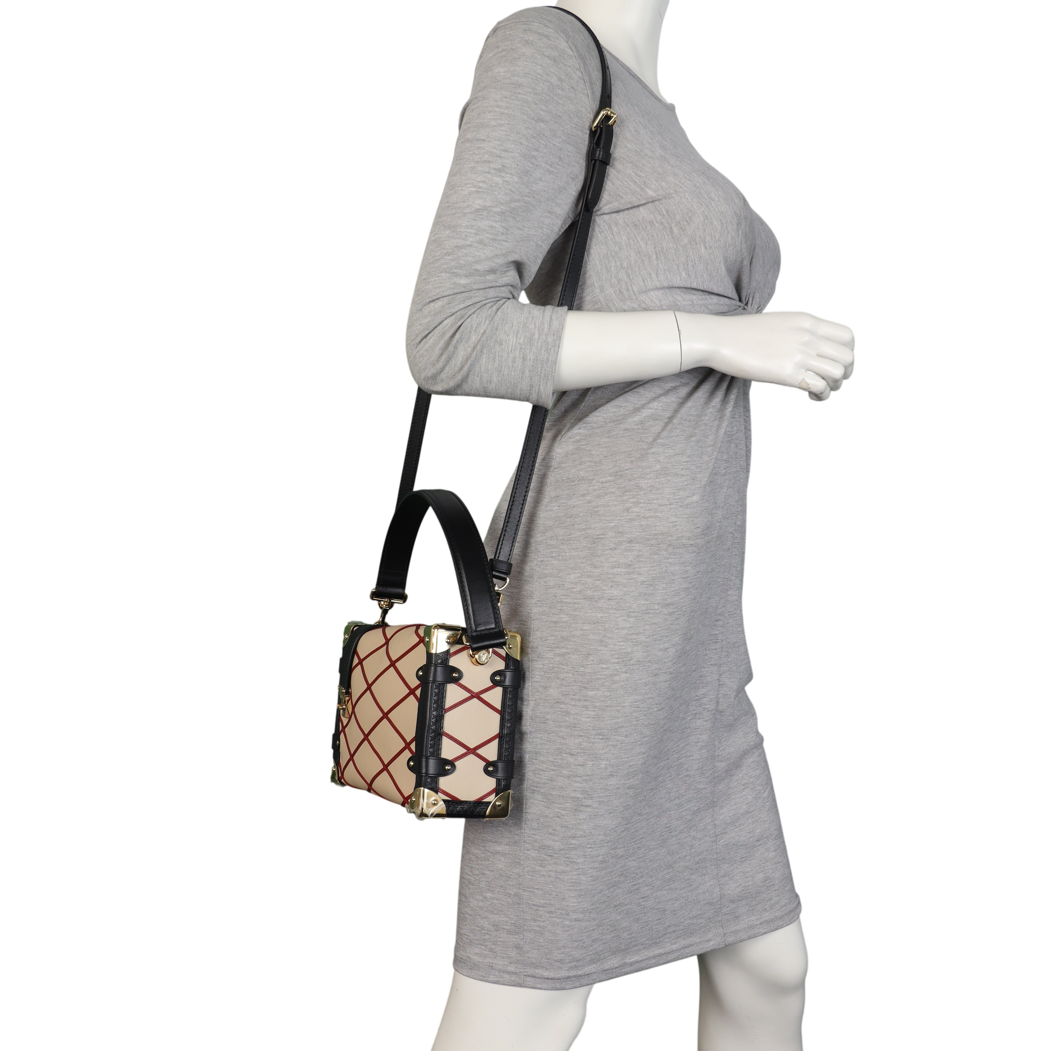 Louis Vuitton Side Trunk MM