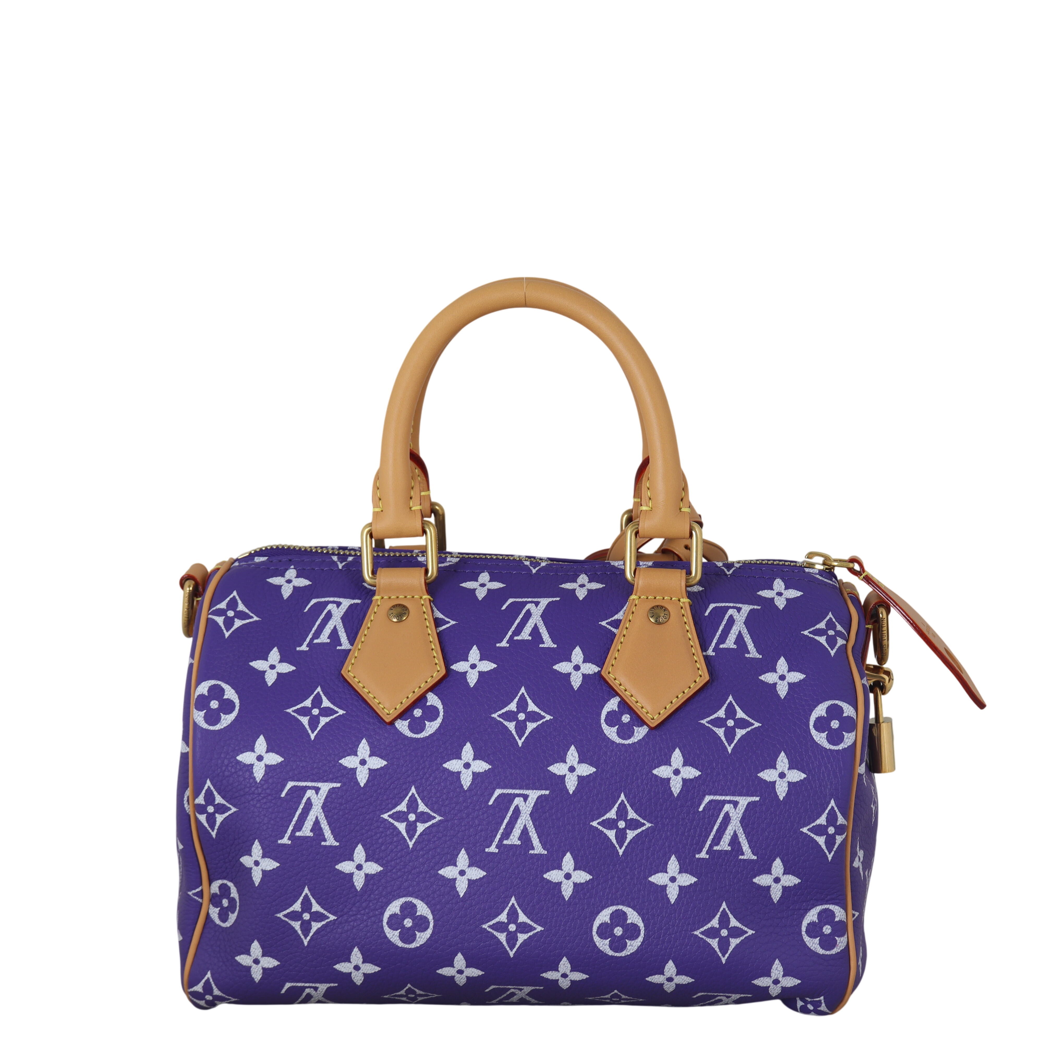Louis Vuitton Speedy P9 25 Bandouliere Monogram