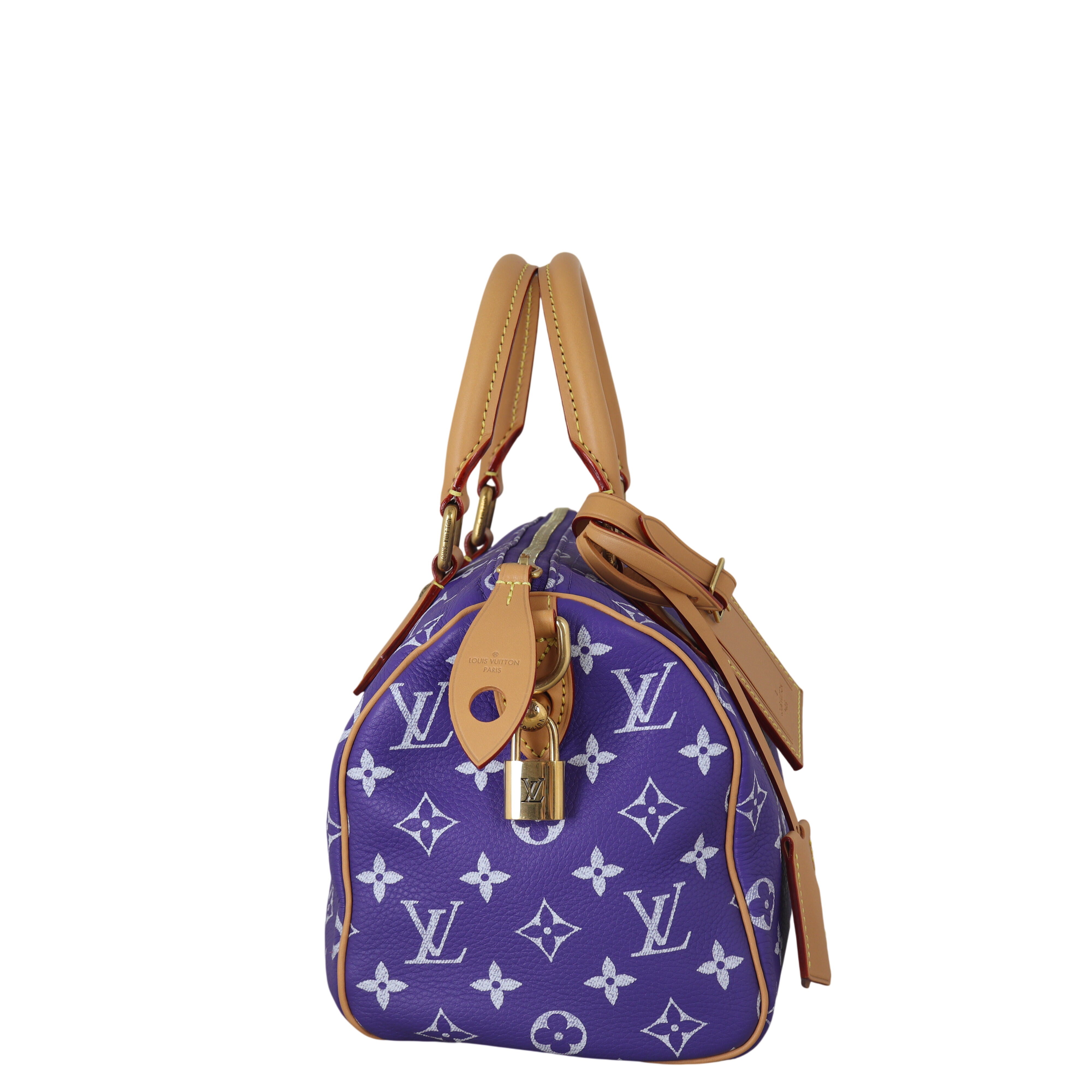 Louis Vuitton Speedy P9 25 Bandouliere Monogram