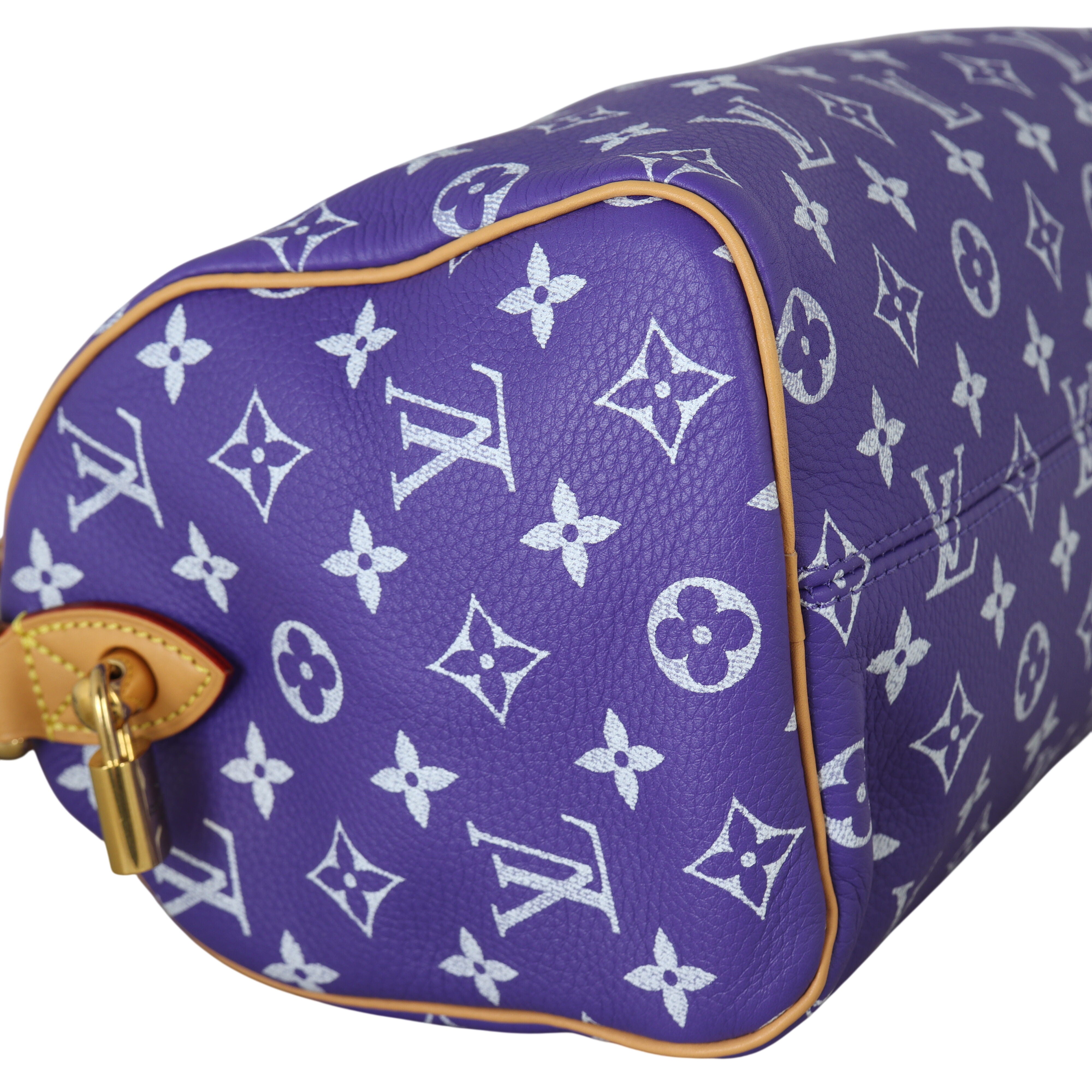 Louis Vuitton Speedy P9 25 Bandouliere Monogram