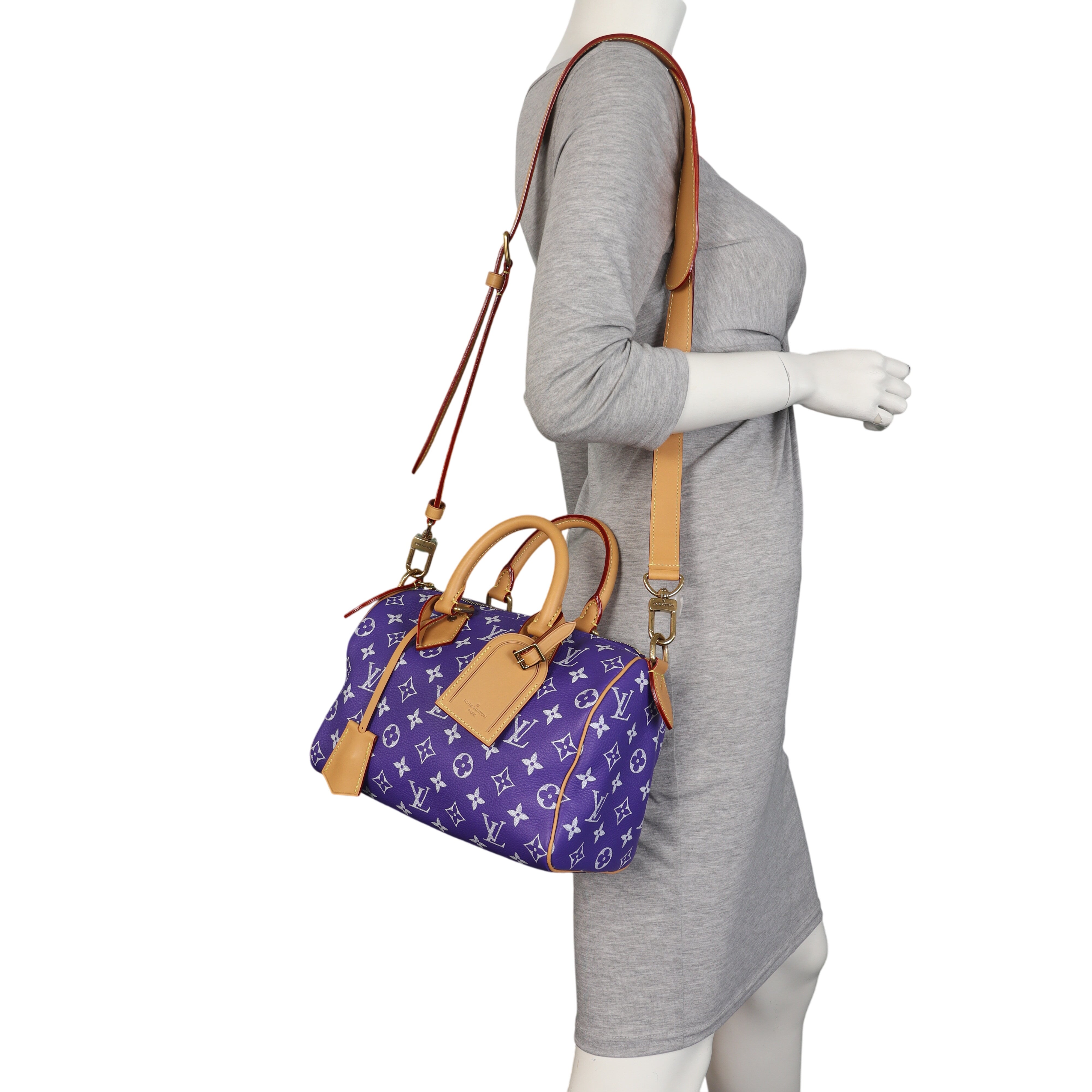 Louis Vuitton Speedy P9 25 Bandouliere Monogram