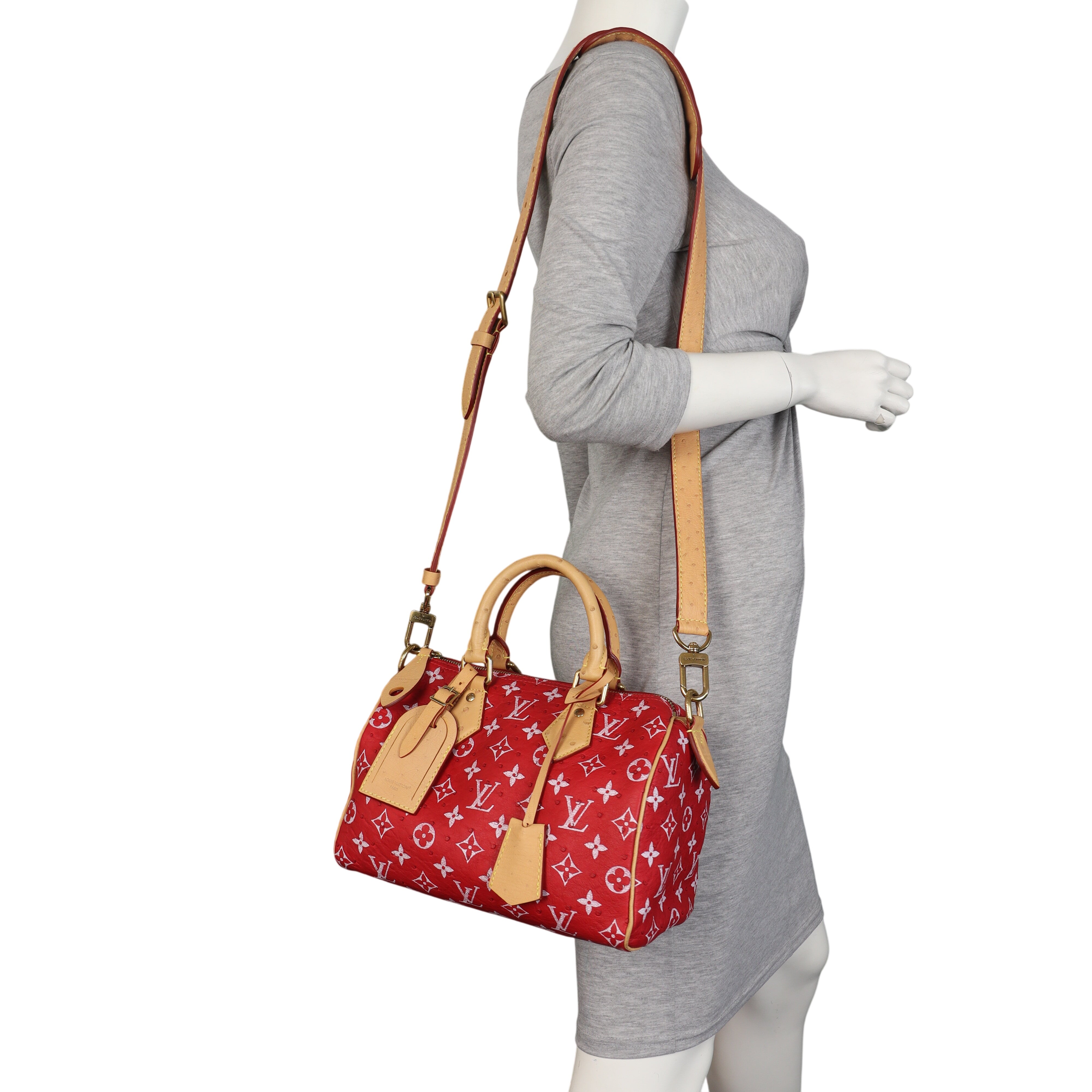 Louis Vuitton Speedy P9 25 Bandouliere Monogram Ostrich